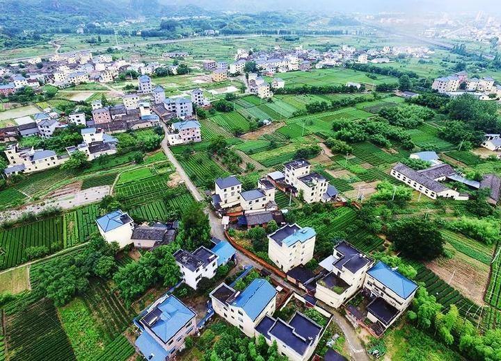 自然資源部解答：一戶多宅、超面積、非集體成員取得宅基地等確權(quán)問題